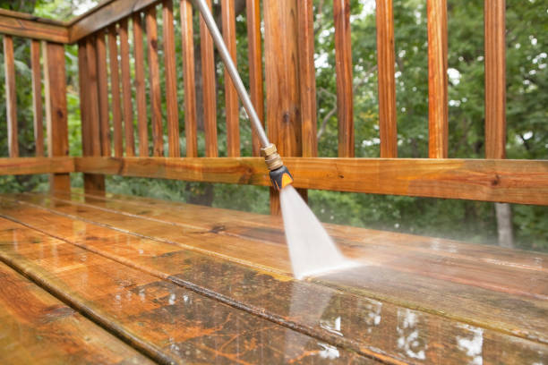 Best Soft Washing for Delicate Surfaces in Van Meter, IA